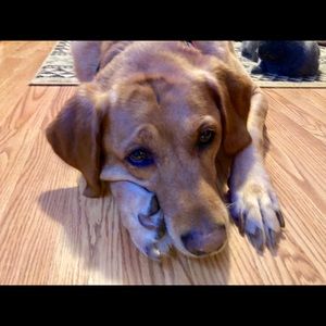 Meet your Posher, Kelly